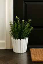 Green indoor plant with yellow buds in a white picket-style round pot placed on a dark wooden floor near a black door and doormat.