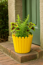 Decorative green plants with colorful leaves in a bright yellow picket-style round pot placed on brick steps near a green door