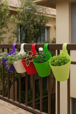 Five colorful hanging planters in purple, white, red, green, and light green attached to a balcony railing, each containing different green plants and flowers.
