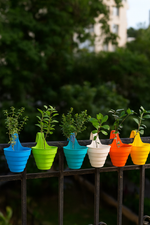 Colorful mini hanging pots with plants on a metal railing against a blurred green background