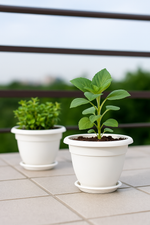 Two white plastic pots with green plants placed on a tiled balcony table, with a blurred railing and greenery in the background