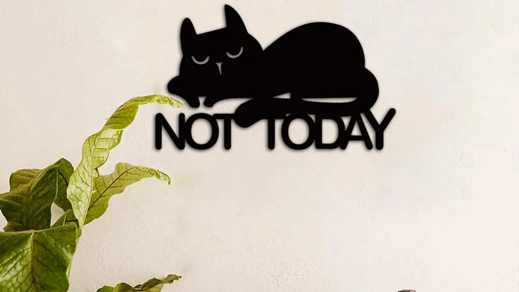 Black cat silhouette with the text 'NOT TODAY' beneath it, mounted on a light-colored wall with a plant in the foreground