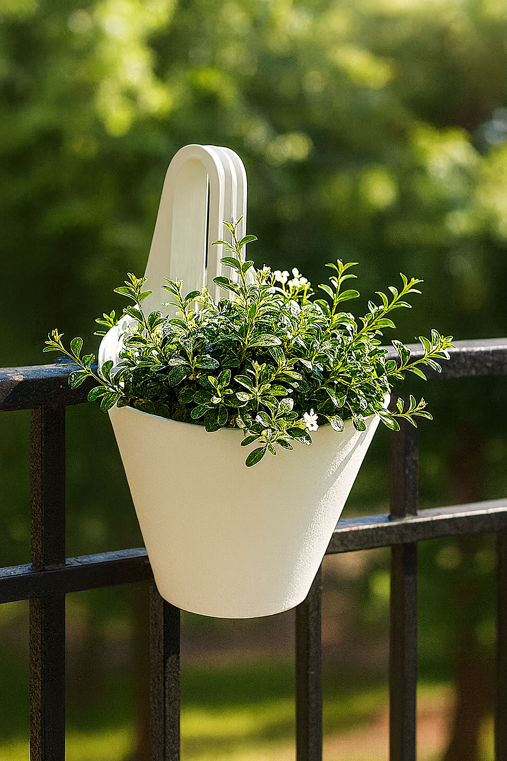 White hanging planter with green leafy plant placed on a black balcony railing with a blurred garden background.