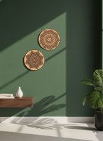 Two decorative circular MDF DIY wall hangings on a green wall with a plant and shelf in the foreground.