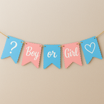 Gender reveal banner with blue and pink flags on a beige background