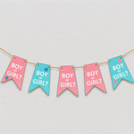 Pink and blue gender reveal banner with alternating flags reading ‘BOY or GIRL