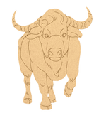 MDF DIY bull puzzle on a white background