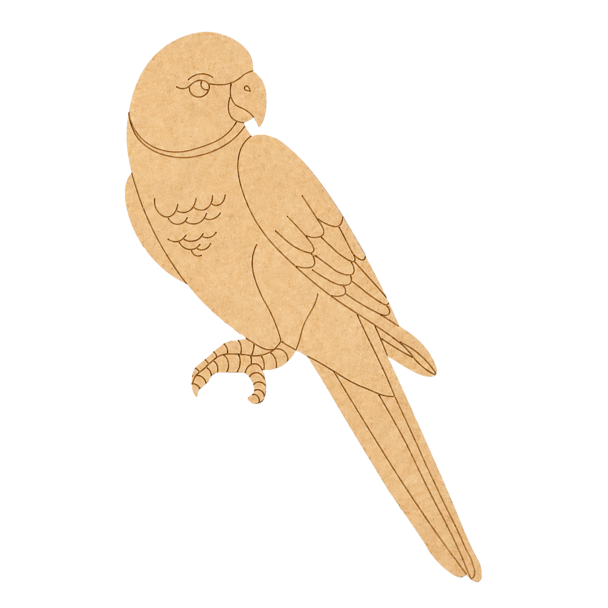 MDF DIY  parrot cutout on a white background