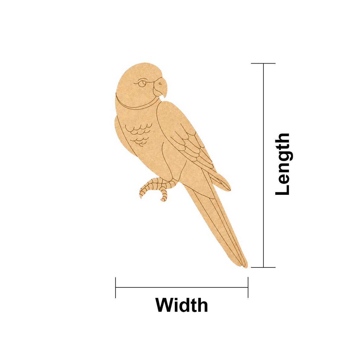 MDF DIY  parrot cutout with measurements labeled on a white background