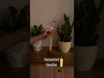 The video shows the actual candle.