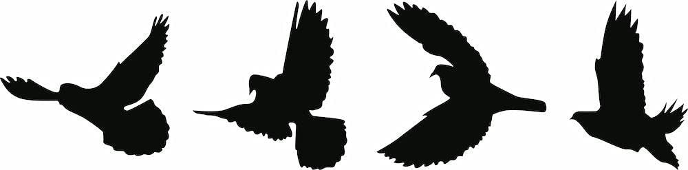 Black free flying birds wall decor featuring silhouettes of four birds in flight, the enlarged image of the product.