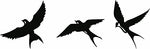 Black free bird wall art featuring three silhouettes of birds in flight, the enlarged image of the product.