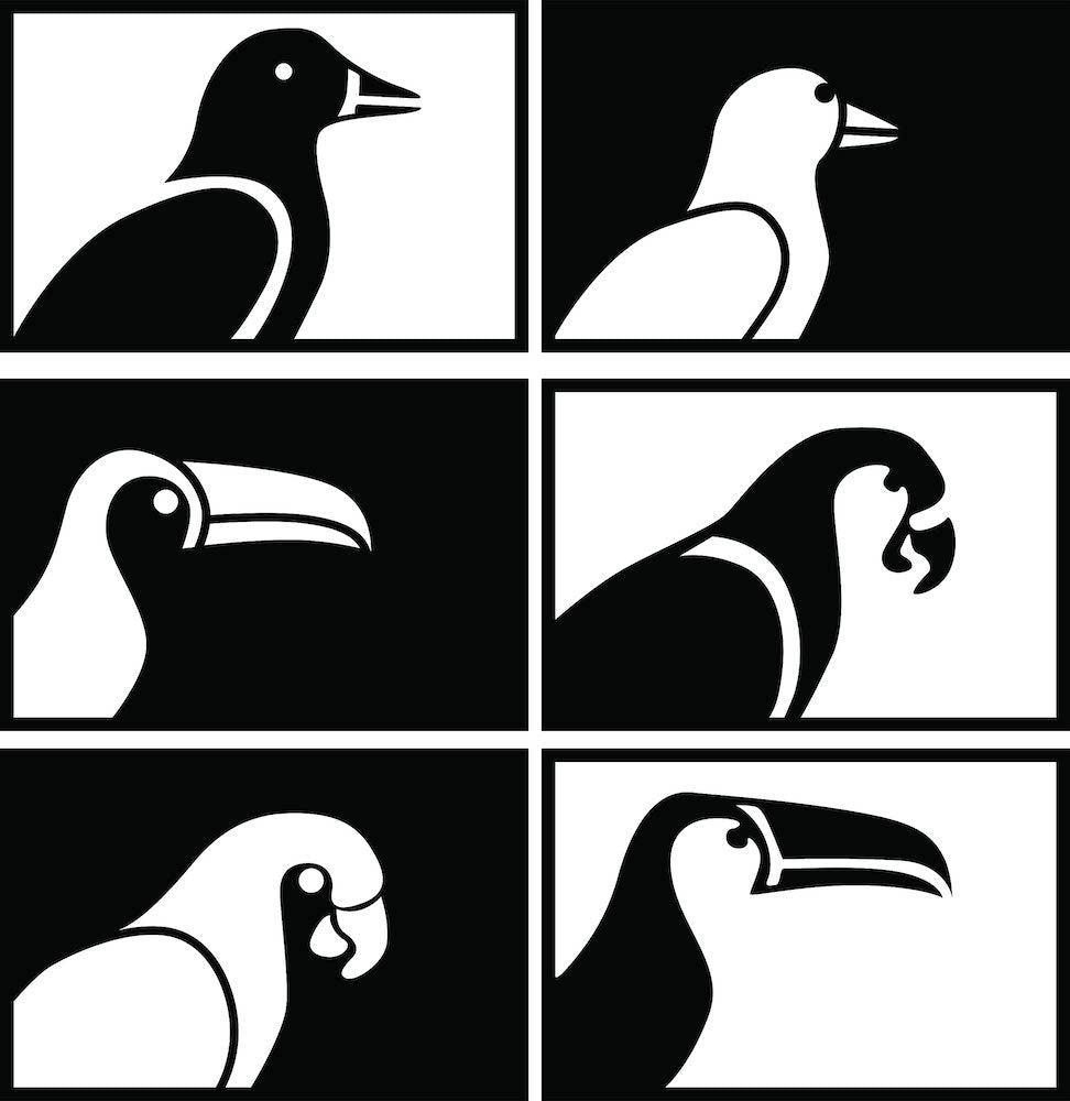 Black and white bird wall art featuring six framed designs of various bird silhouettes, the image is the enlarged picture of the product.