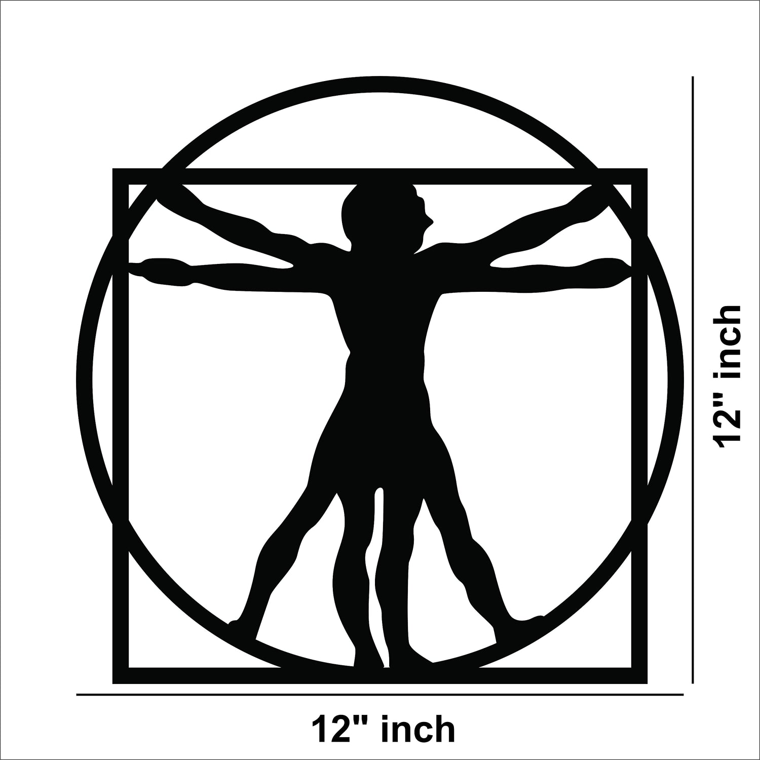 MDF Vitruvian Man wall decor inspired by Leonardo da Vinci's artwork, the dimensional image of the product with 12 inch diameter.