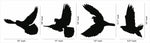 Black free flying birds wall decor featuring silhouettes of four birds in flight, the dimensional image of the product with different size for each frame.