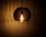 Matte black cage-style ceiling pendant lamp hanging with warm glowing bulb and cord